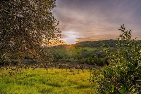 969 Rachael Road Sonoma CA 95476