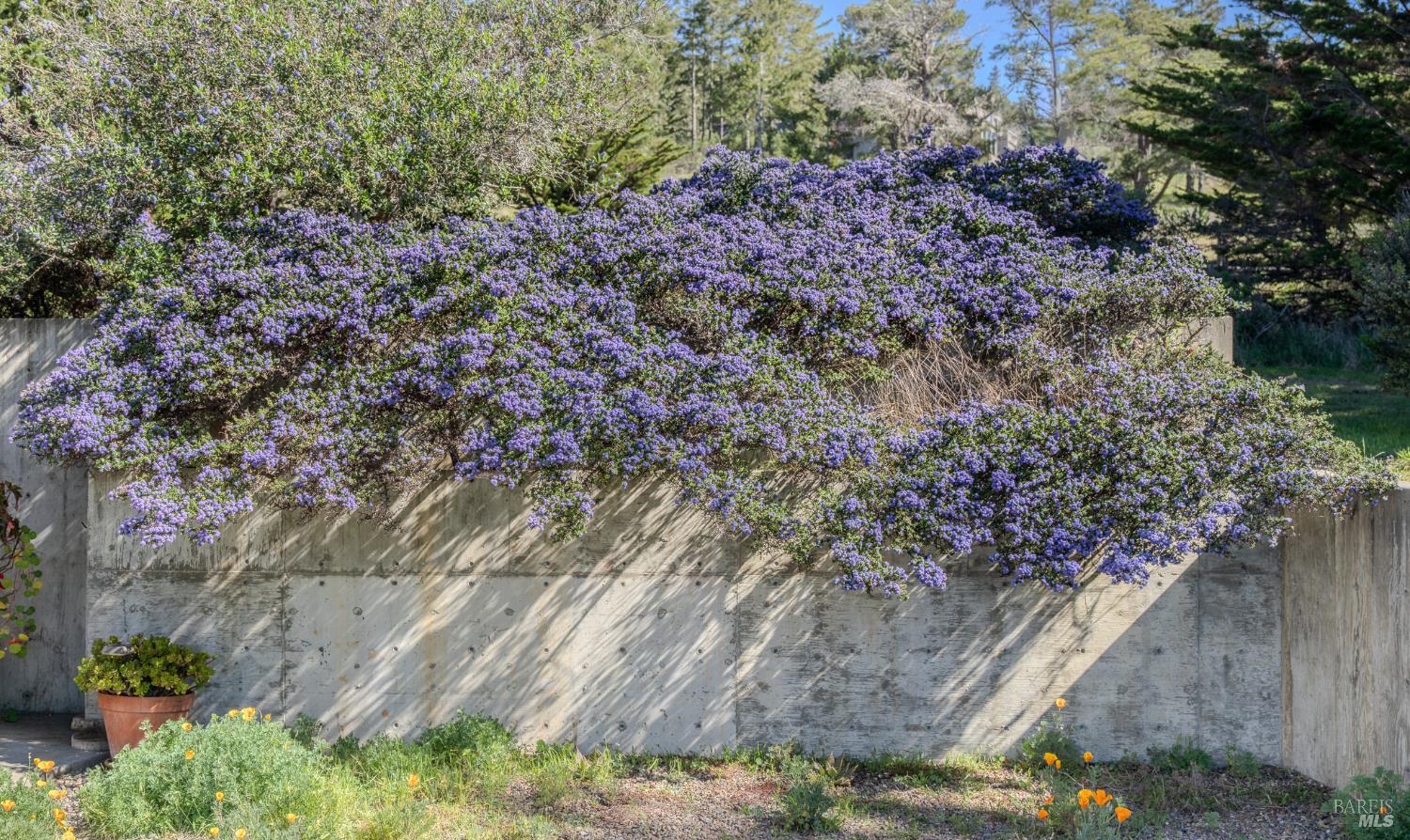 39074 Hedgegate Road The Sea Ranch CA 95497