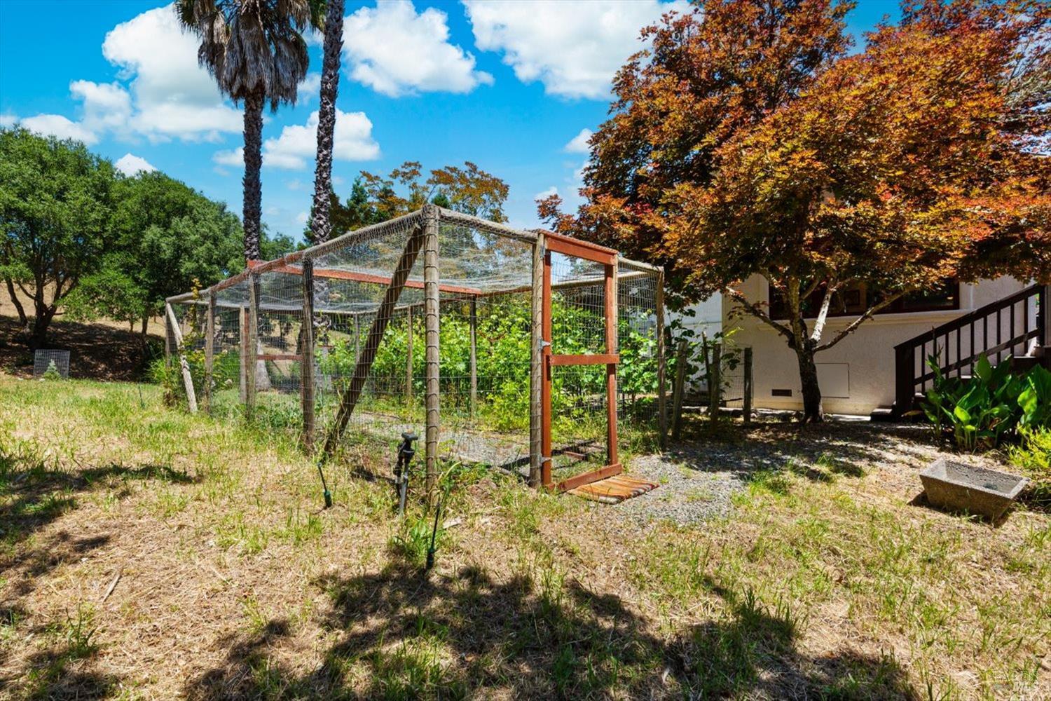 1163 Morningside Drive Napa CA 94558