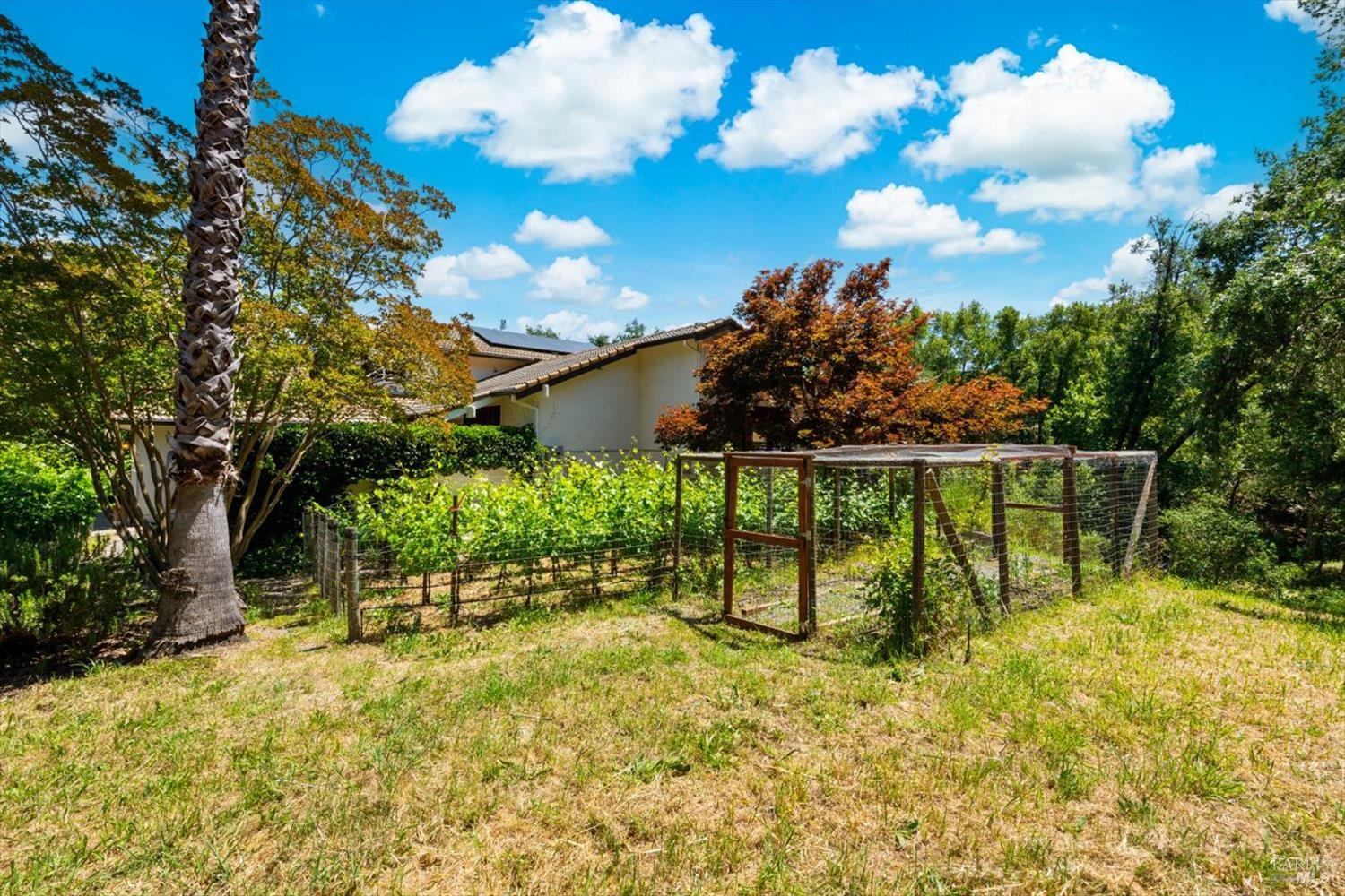 1163 Morningside Drive Napa CA 94558