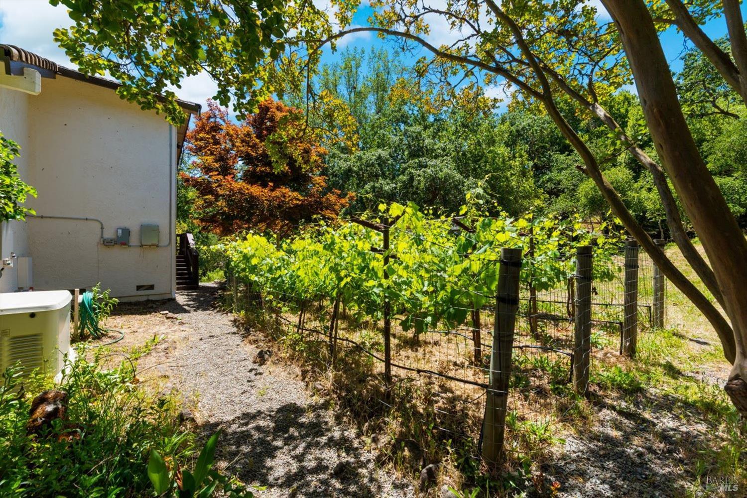 1163 Morningside Drive Napa CA 94558