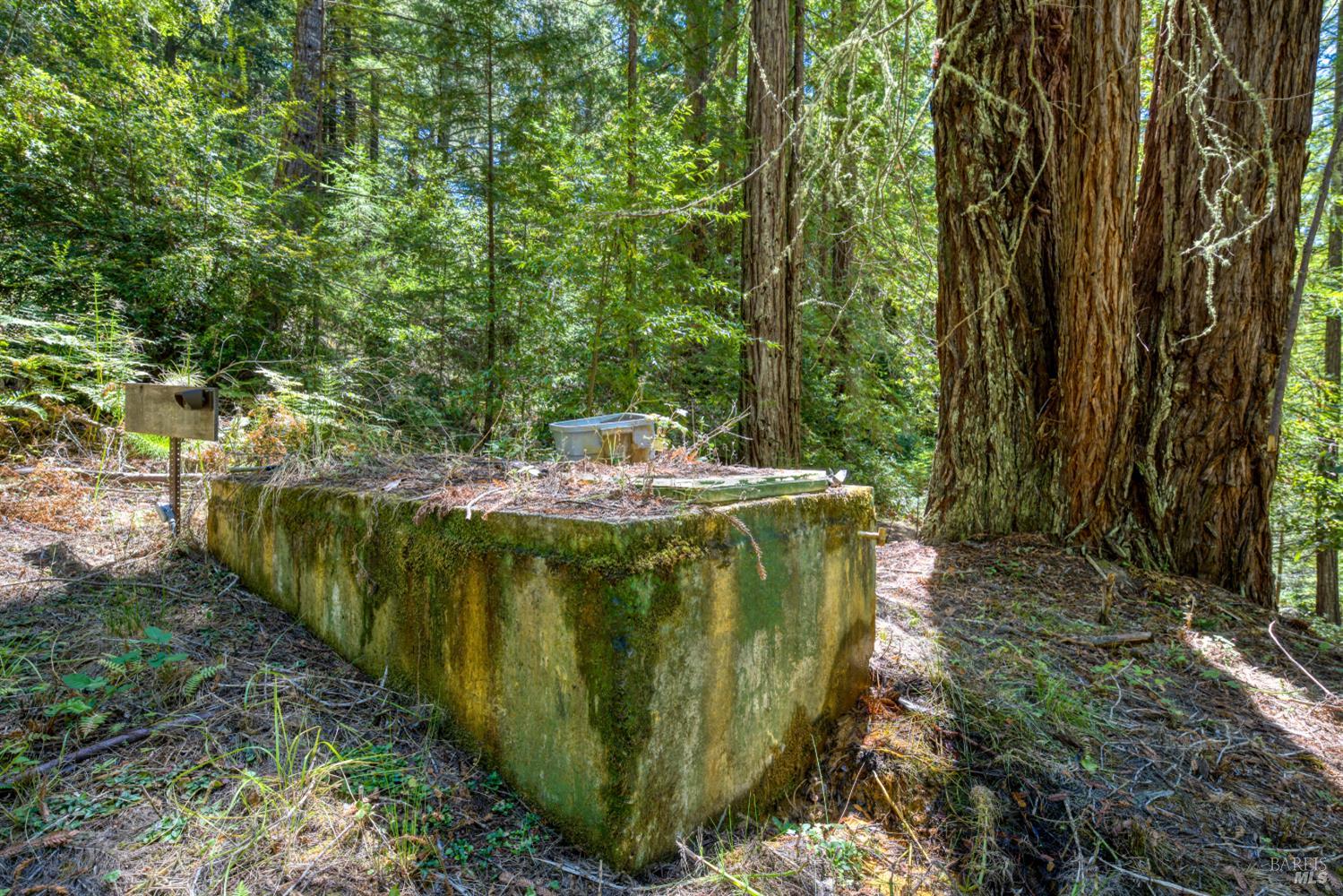 16500 Bittner Road Occidental CA 95465
