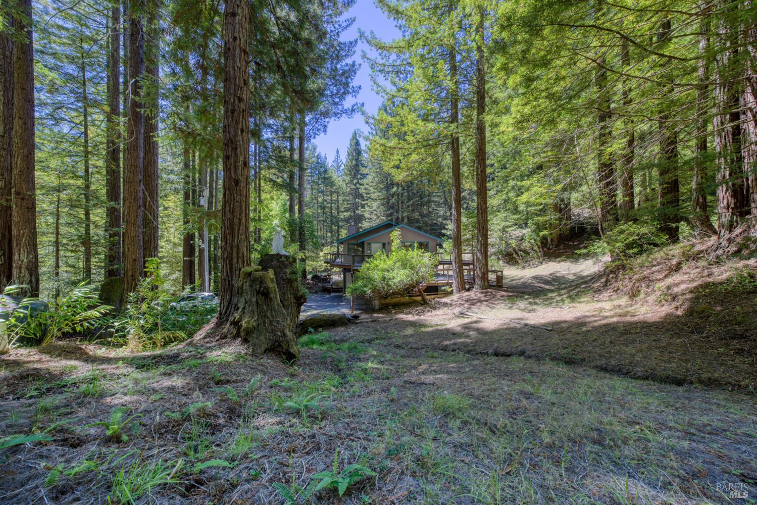 16500 Bittner Road Occidental CA 95465