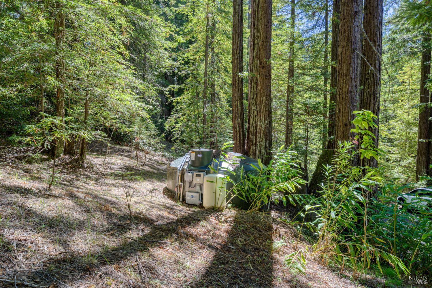 16500 Bittner Road Occidental CA 95465