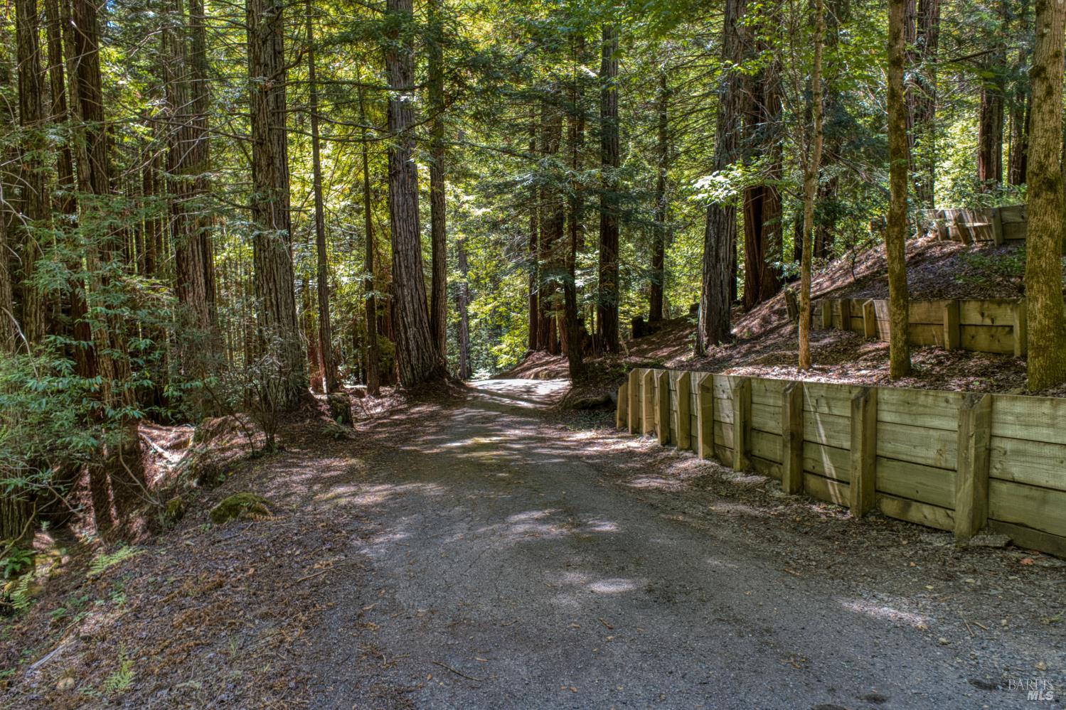 16500 Bittner Road Occidental CA 95465