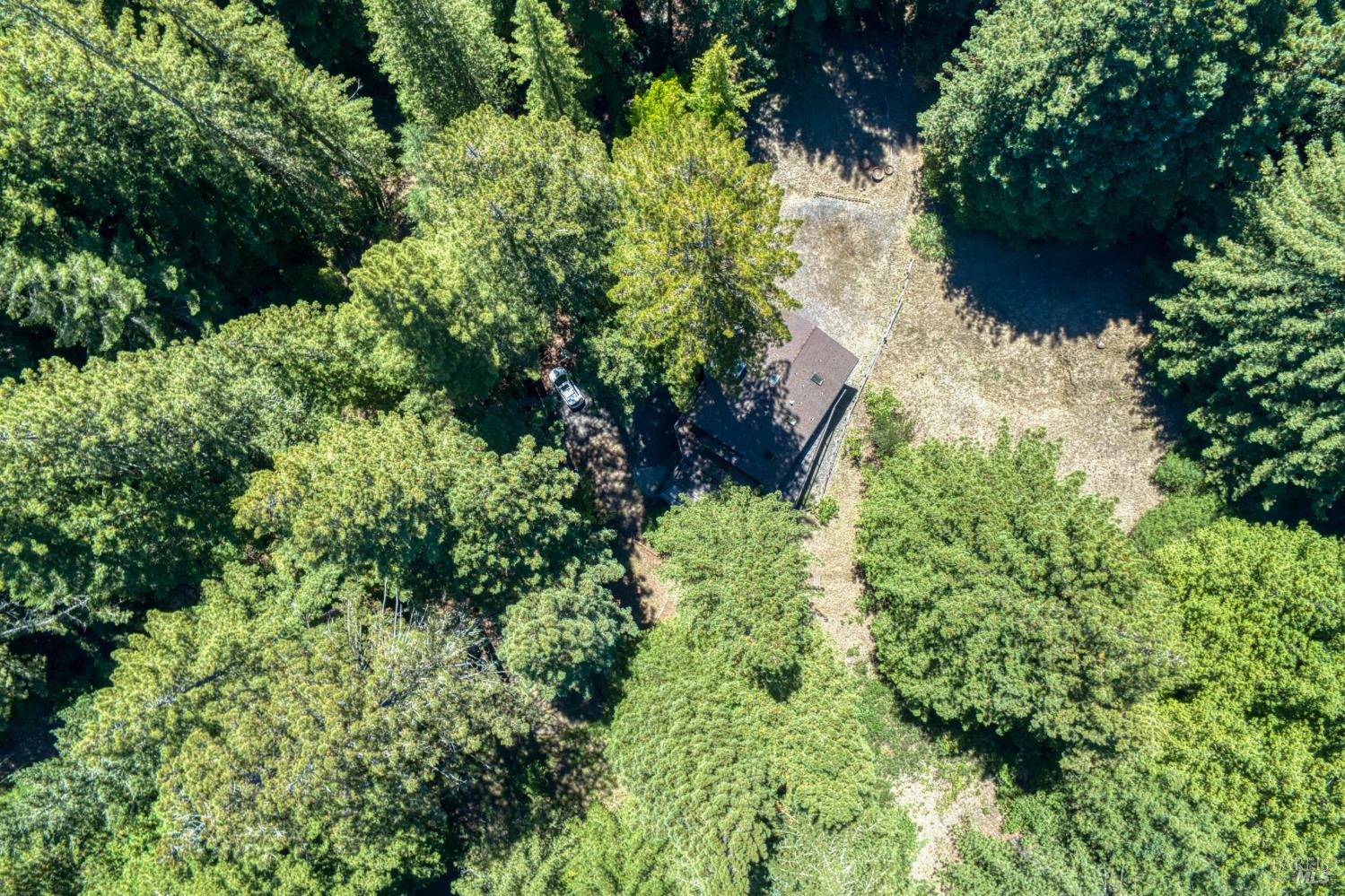16500 Bittner Road Occidental CA 95465