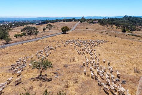 4665 Upper Ridge Road Santa Rosa CA 95404