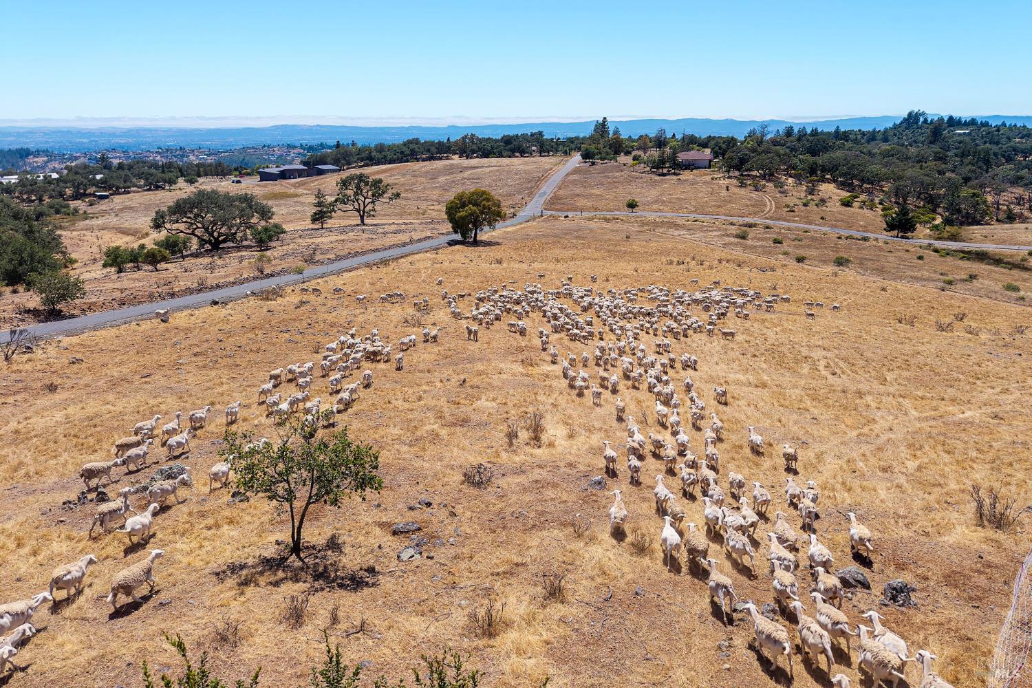 4665 Upper Ridge Road Santa Rosa CA 95404