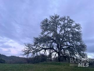 2110 Road B Redwood Valley CA 95470