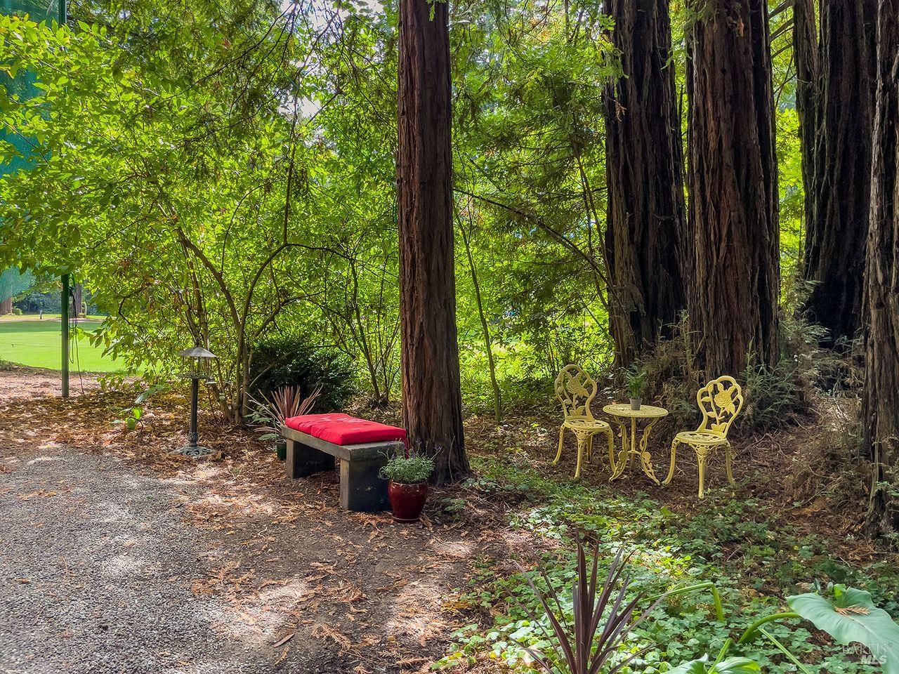 19436 Redwood Drive Monte Rio CA 95462