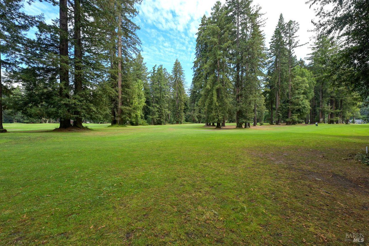19590 Redwood Drive Monte Rio CA 95462