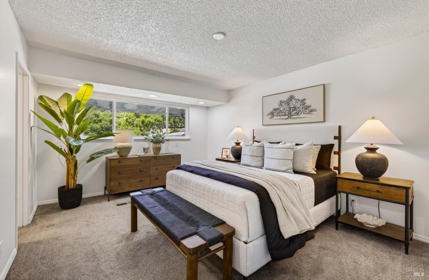 56 Capilano Drive Novato CA 94949