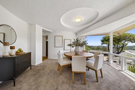 56 Capilano Drive Novato CA 94949