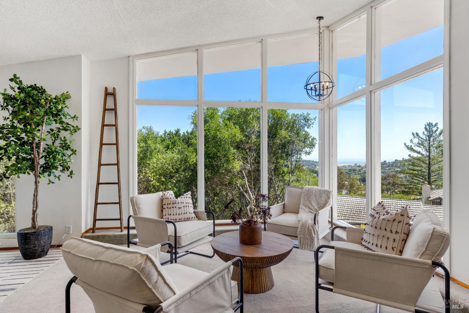 56 Capilano Drive Novato CA 94949