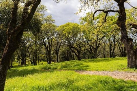 3525 Wood Valley Road Sonoma CA 95476