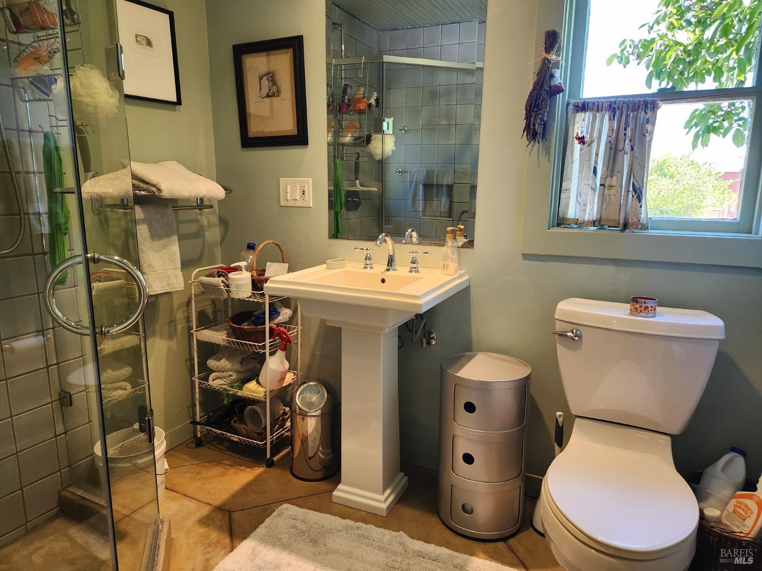 8650 Savio Road Sebastopol CA 95472