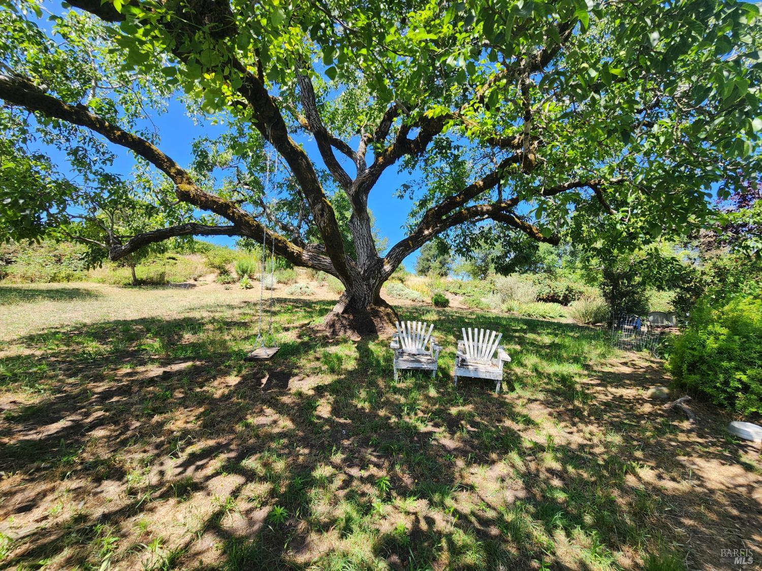 8650 Savio Road Sebastopol CA 95472