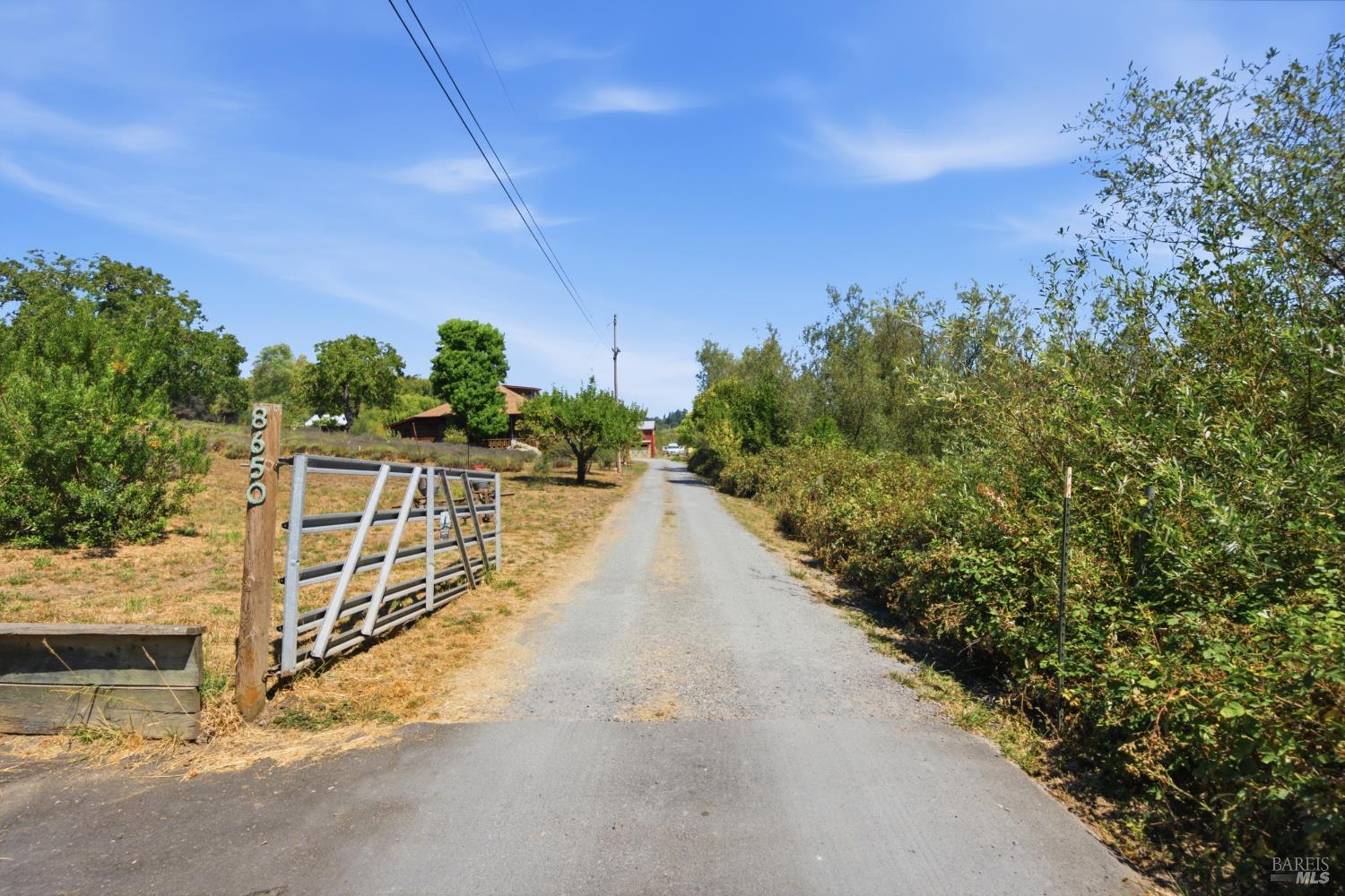 8650 Savio Road Sebastopol CA 95472