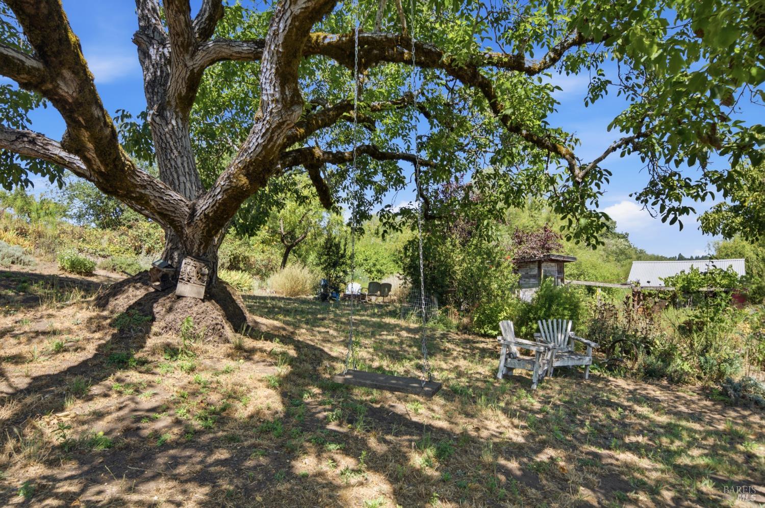 8650 Savio Road Sebastopol CA 95472