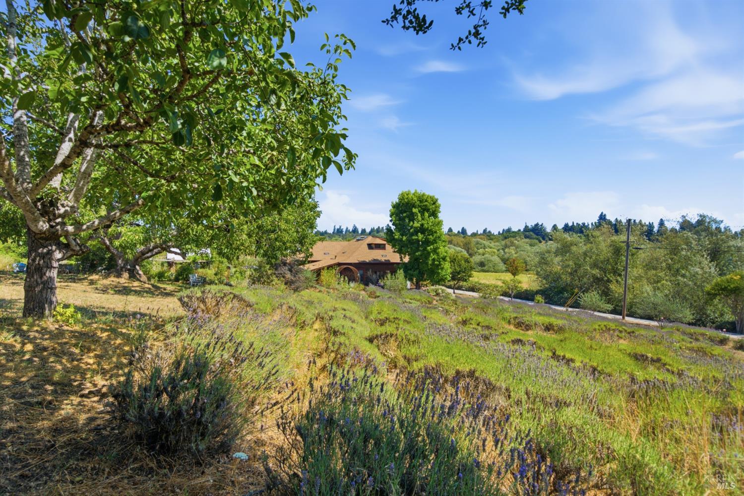 8650 Savio Road Sebastopol CA 95472