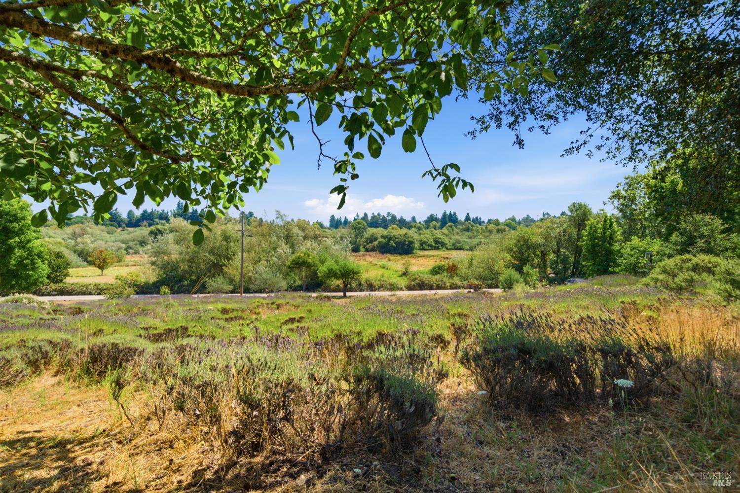 8650 Savio Road Sebastopol CA 95472