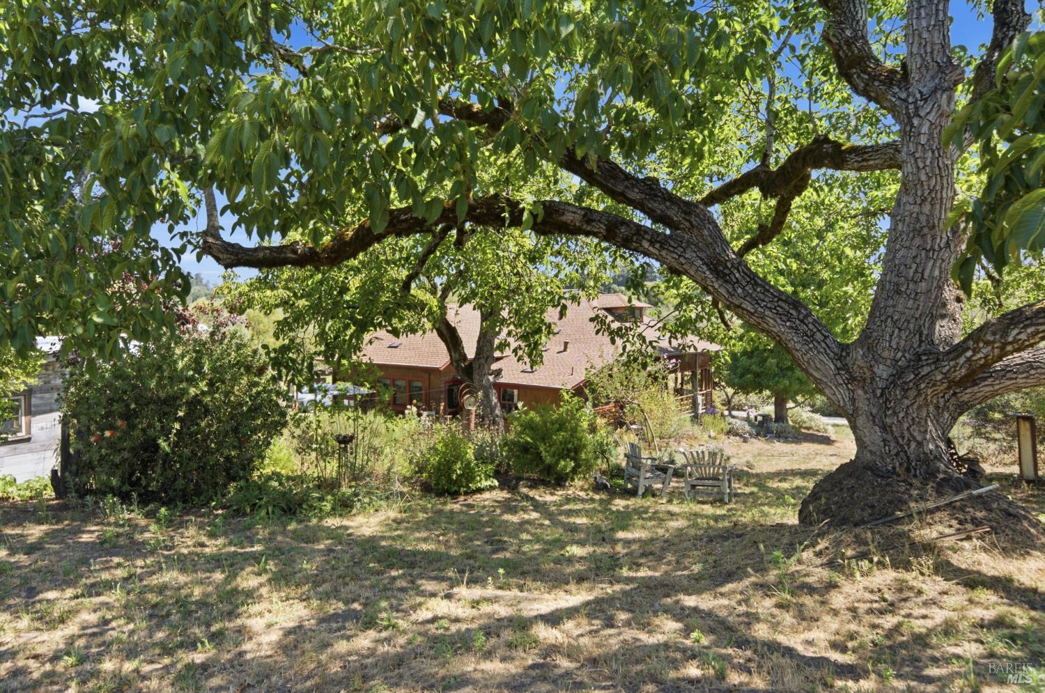 8650 Savio Road Sebastopol CA 95472