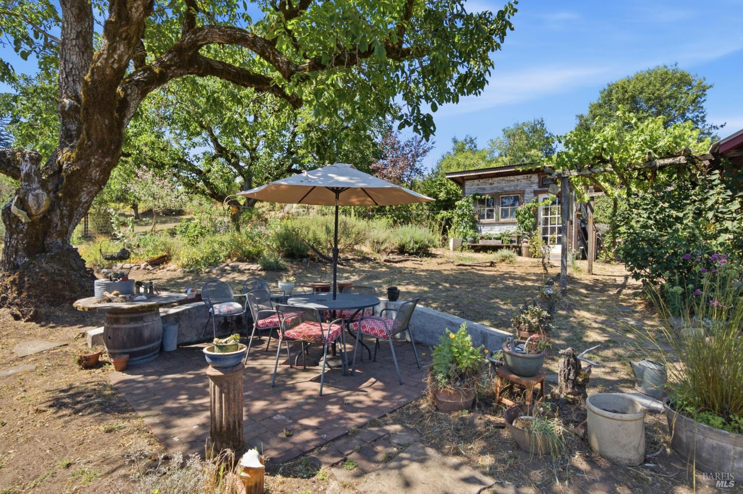 8650 Savio Road Sebastopol CA 95472