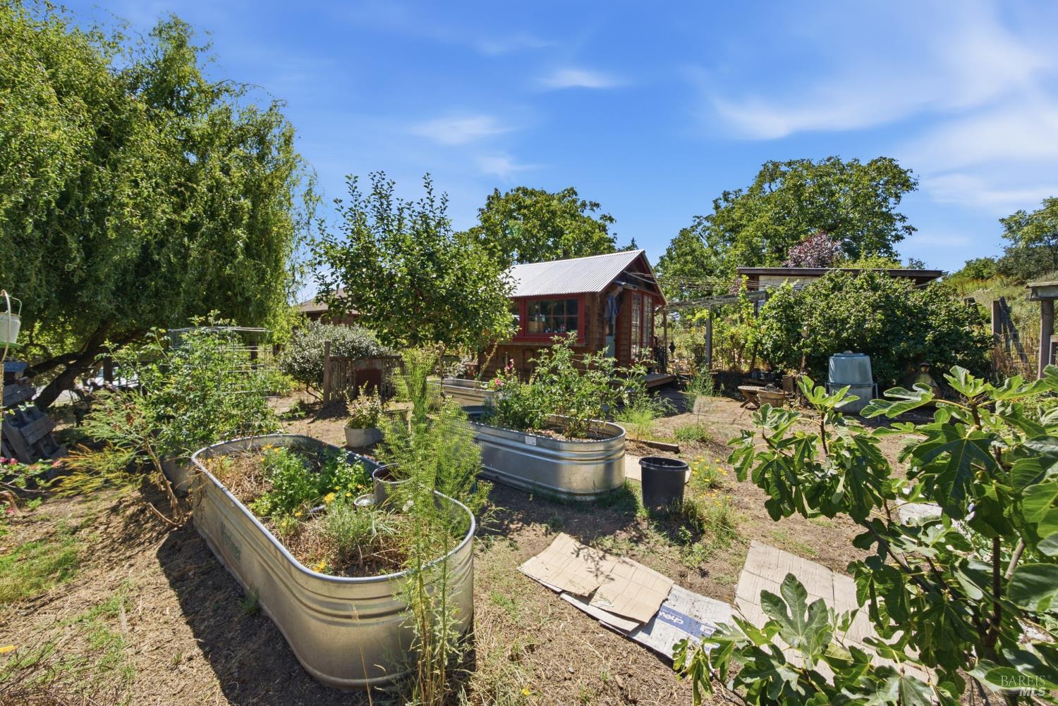 8650 Savio Road Sebastopol CA 95472