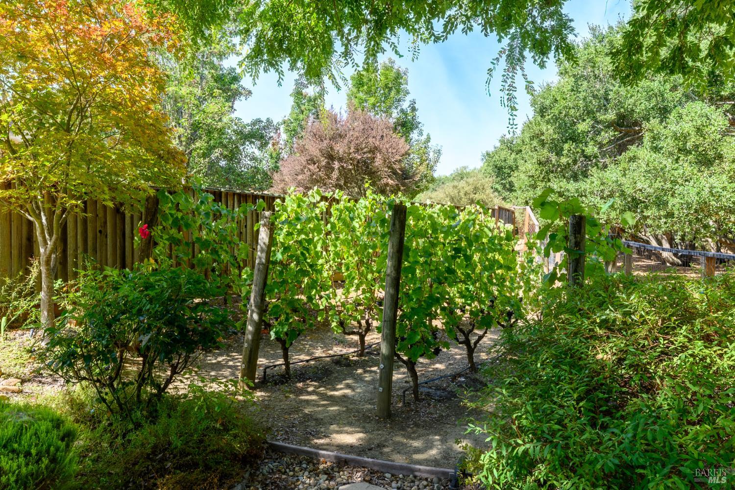 3720 Beartooth Lane Napa CA 94558