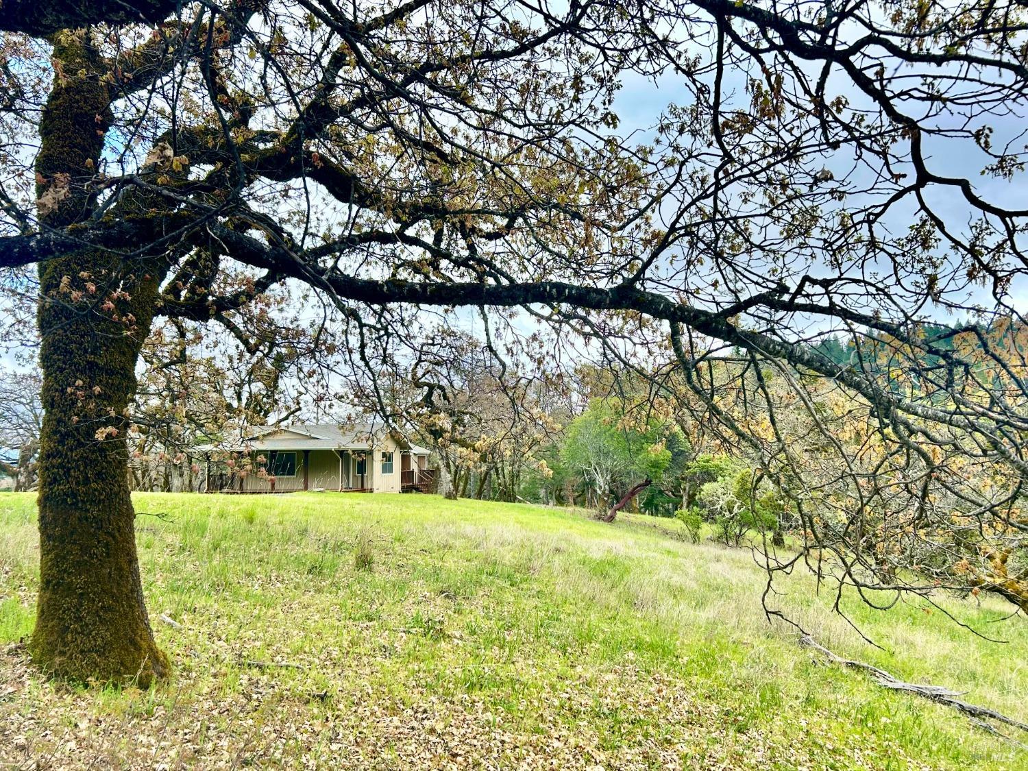 8401 Brandywine Drive Ukiah CA 95482
