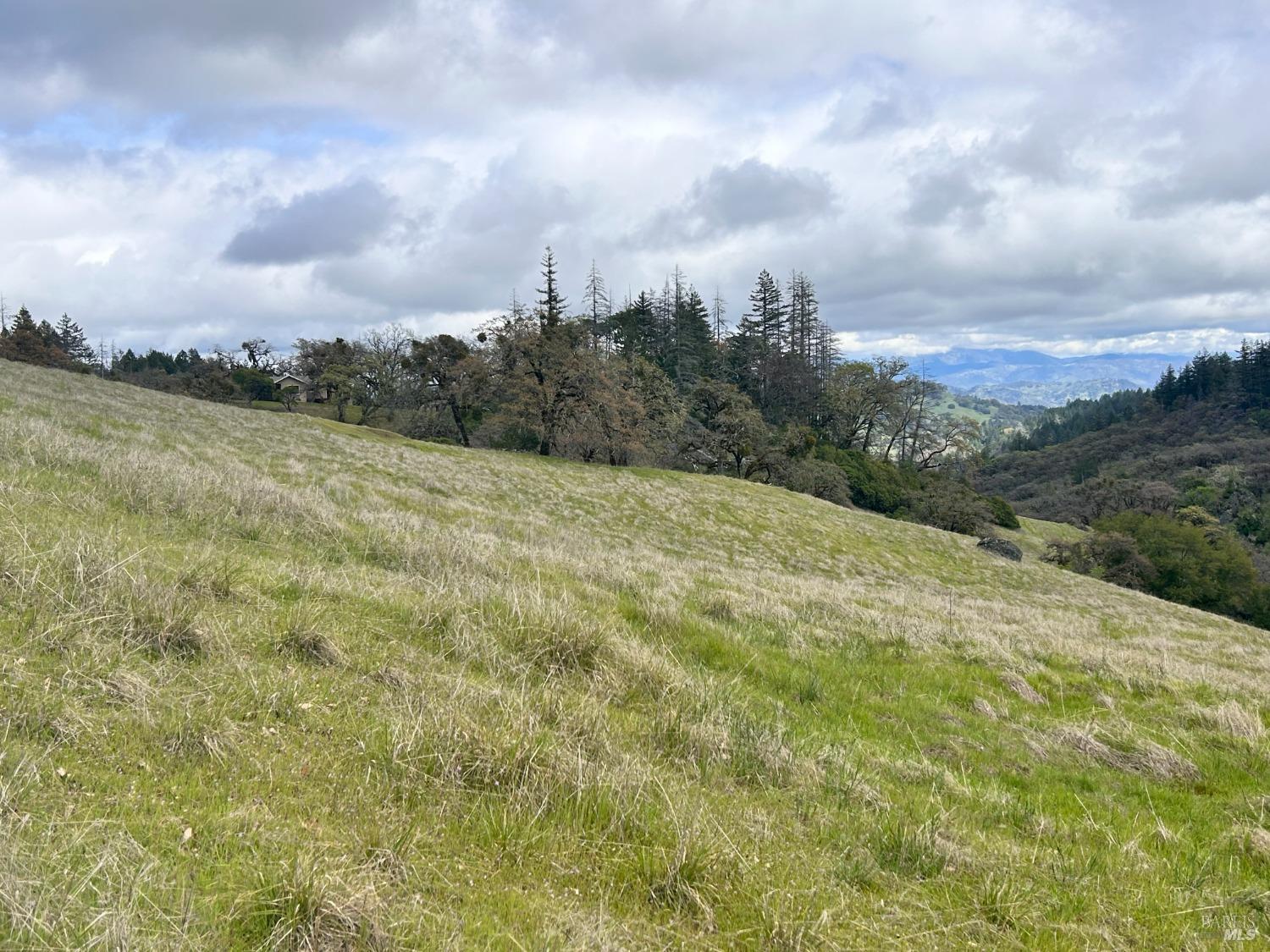 8401 Brandywine Drive Ukiah CA 95482