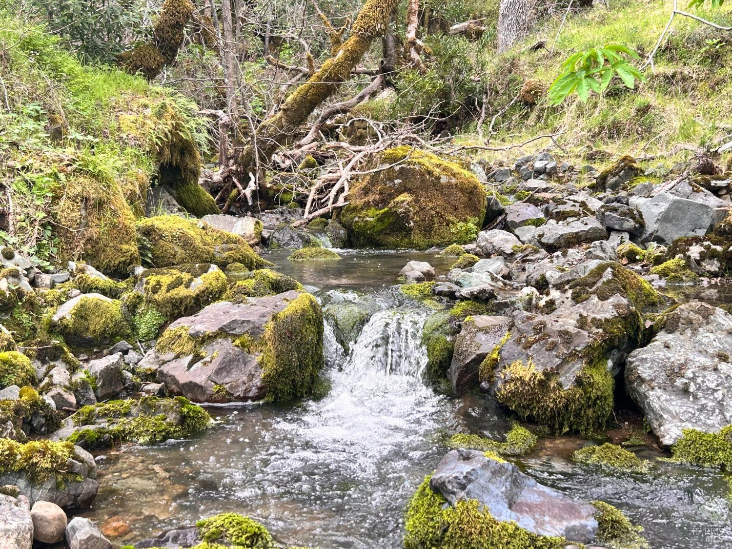 8401 Brandywine Drive Ukiah CA 95482