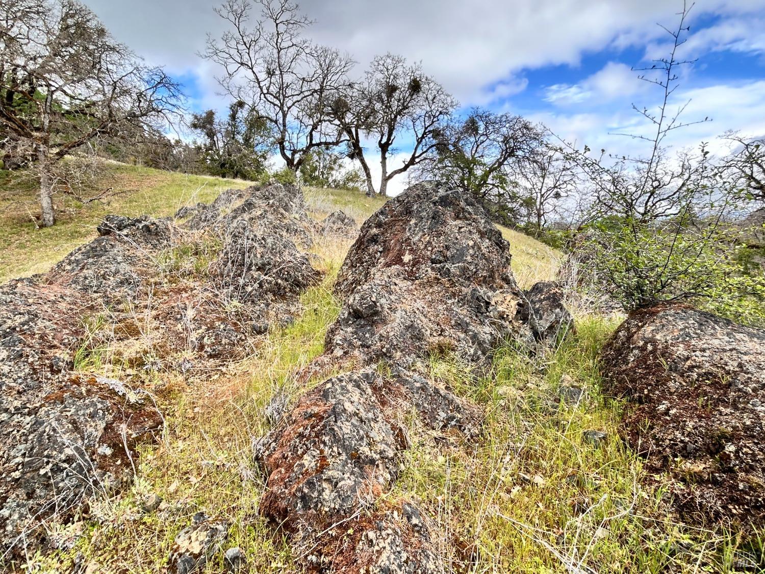 8401 Brandywine Drive Ukiah CA 95482