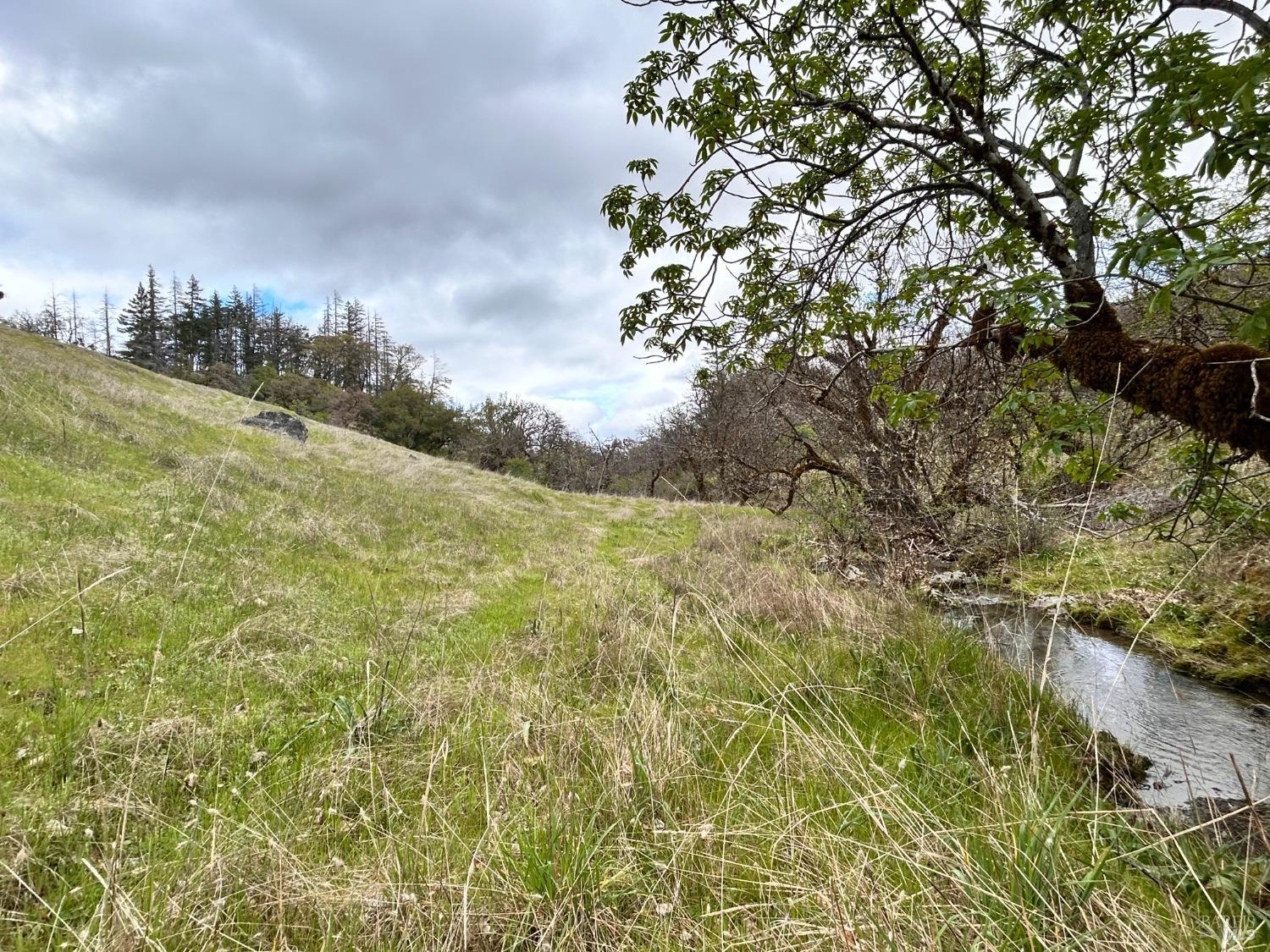 8401 Brandywine Drive Ukiah CA 95482