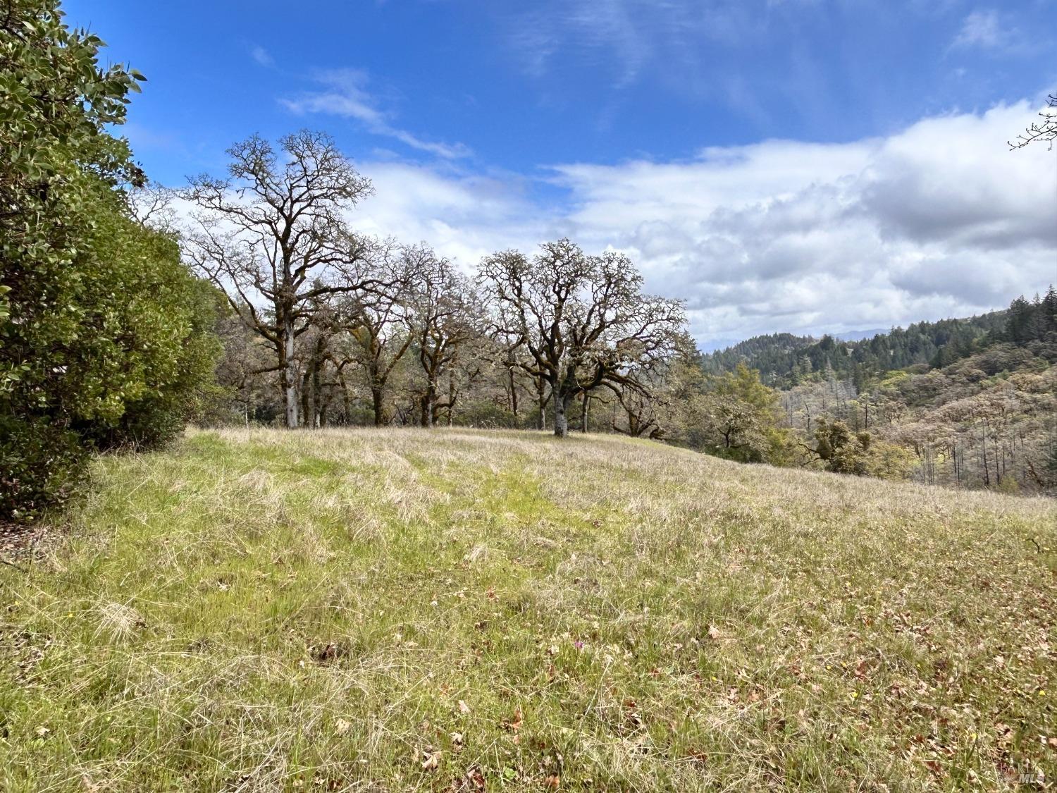 8401 Brandywine Drive Ukiah CA 95482