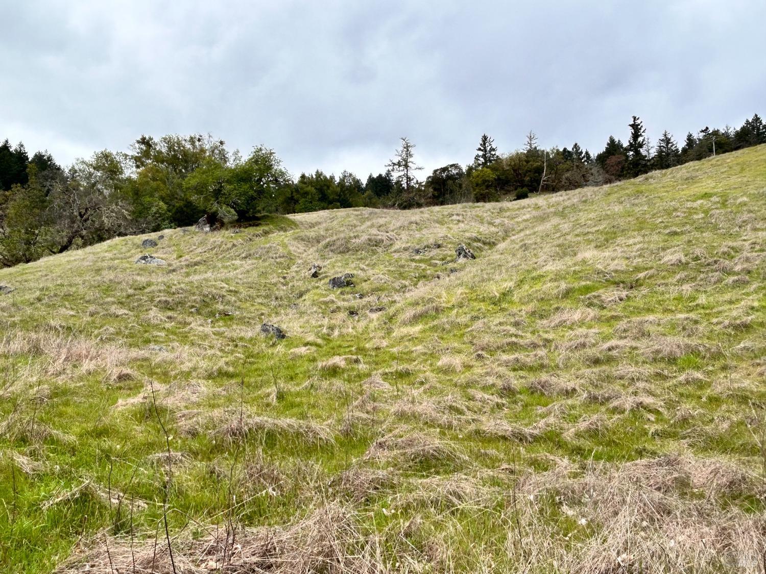 8401 Brandywine Drive Ukiah CA 95482