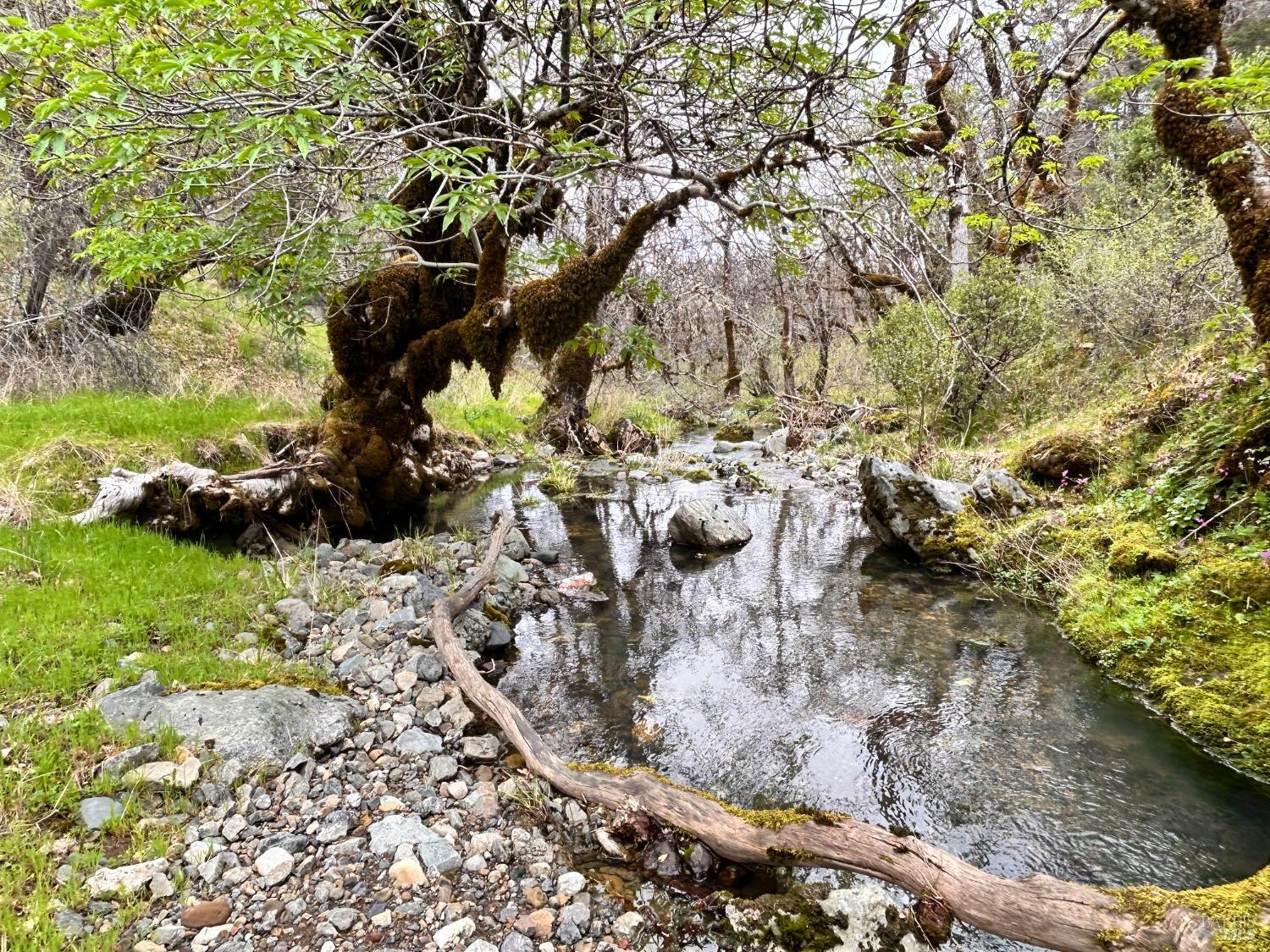 8401 Brandywine Drive Ukiah CA 95482