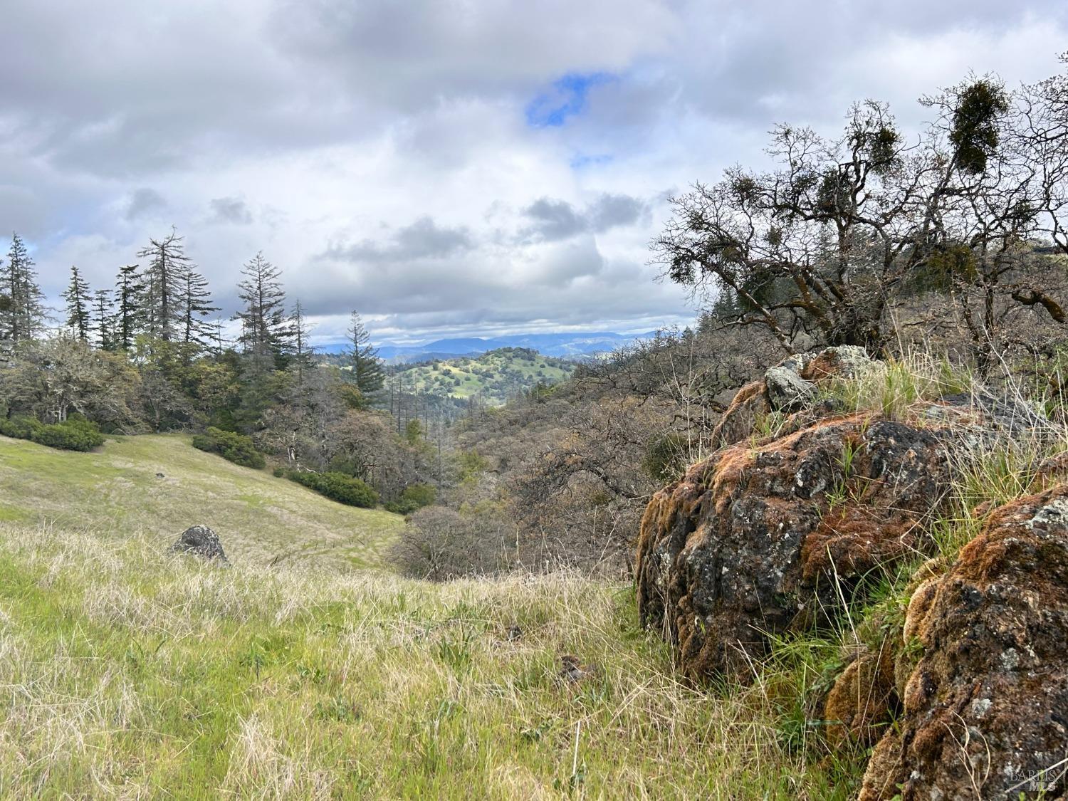 8401 Brandywine Drive Ukiah CA 95482