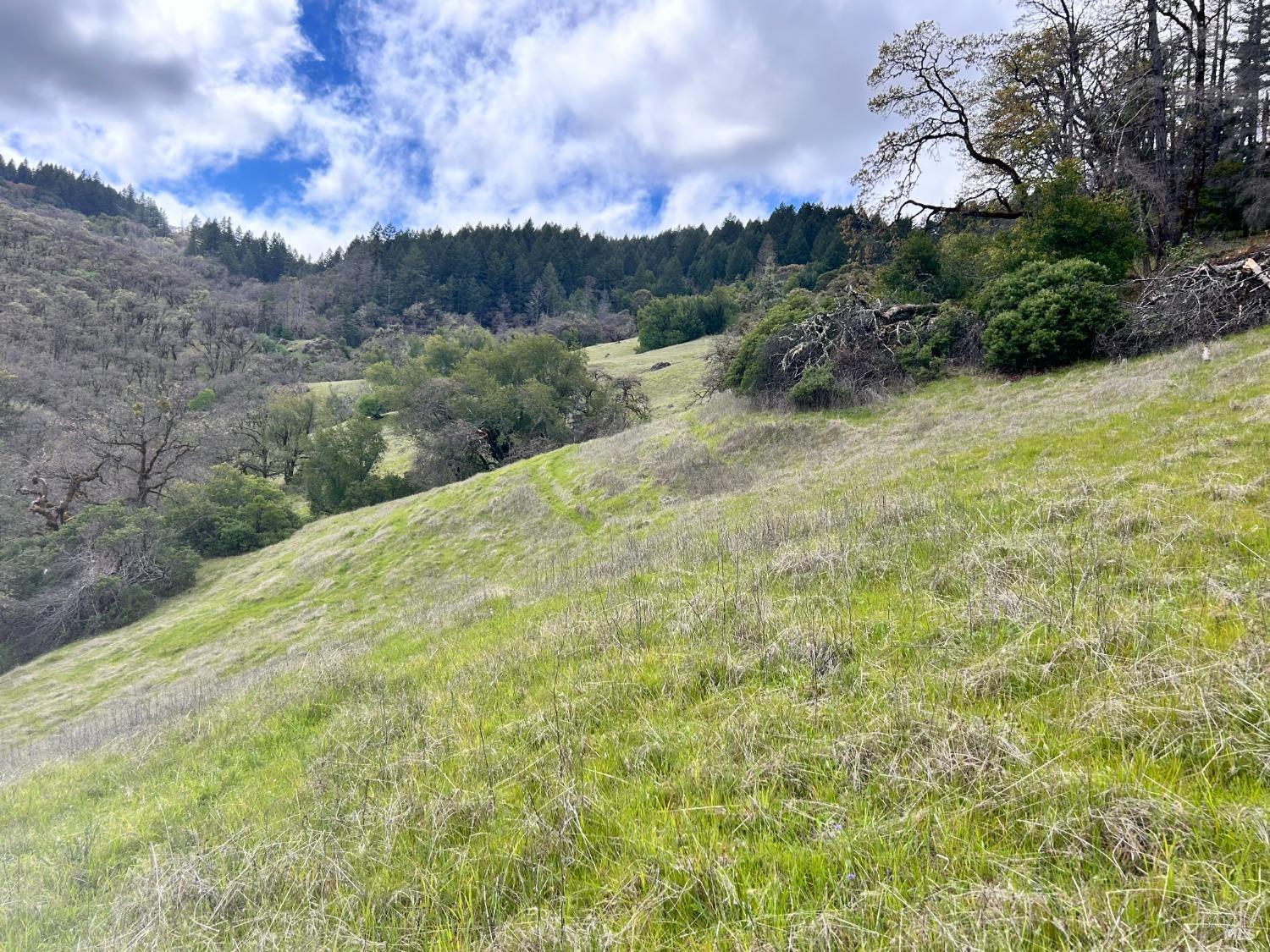 8401 Brandywine Drive Ukiah CA 95482