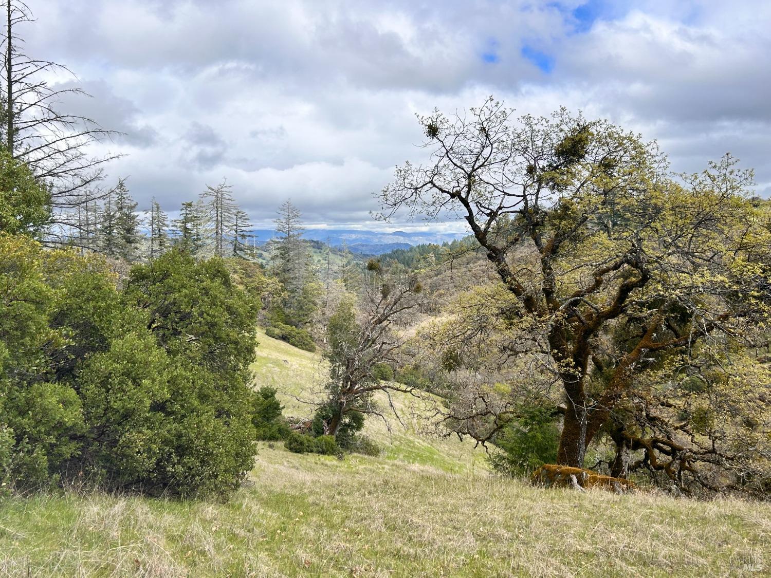 8401 Brandywine Drive Ukiah CA 95482