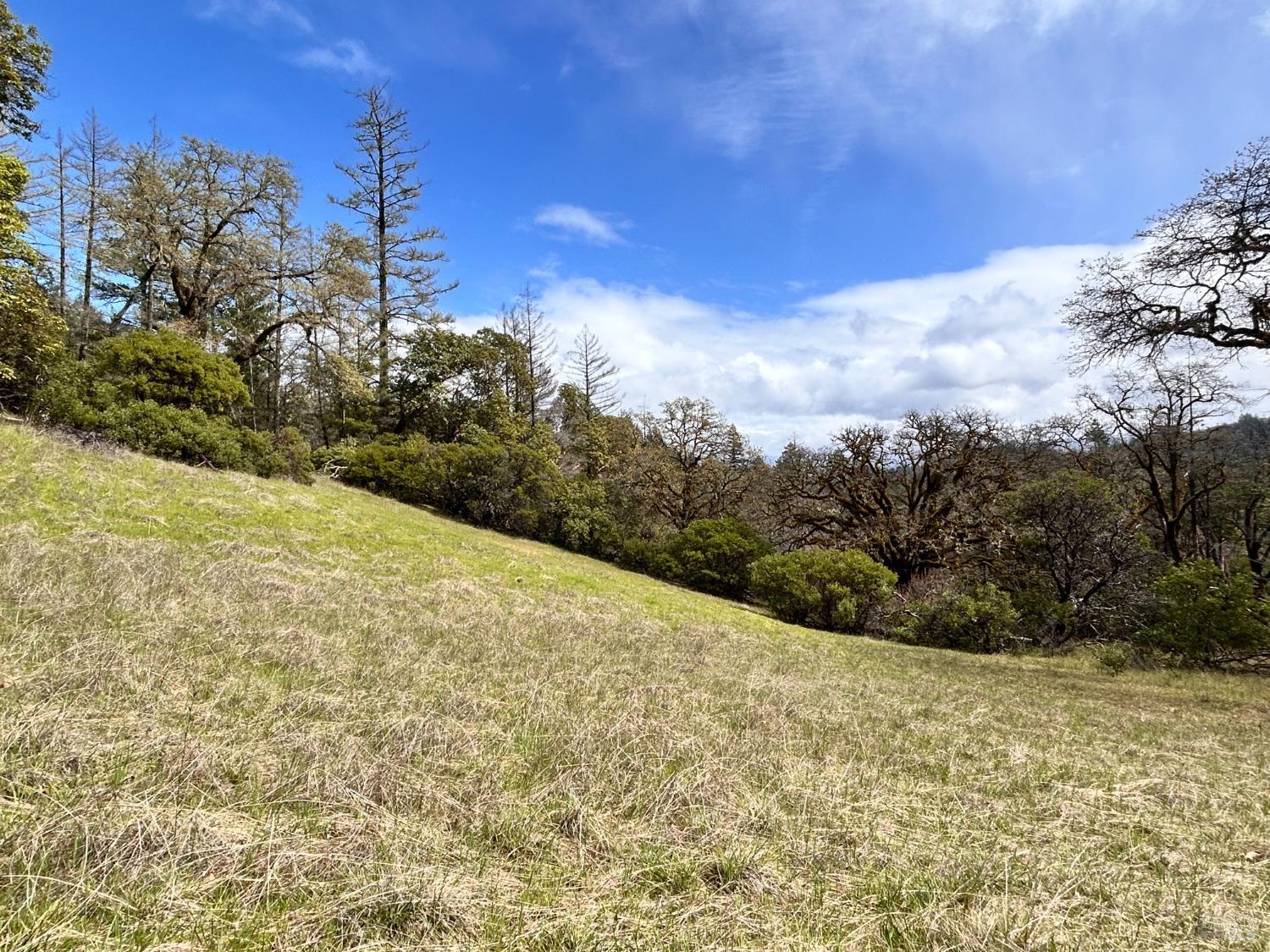 8401 Brandywine Drive Ukiah CA 95482