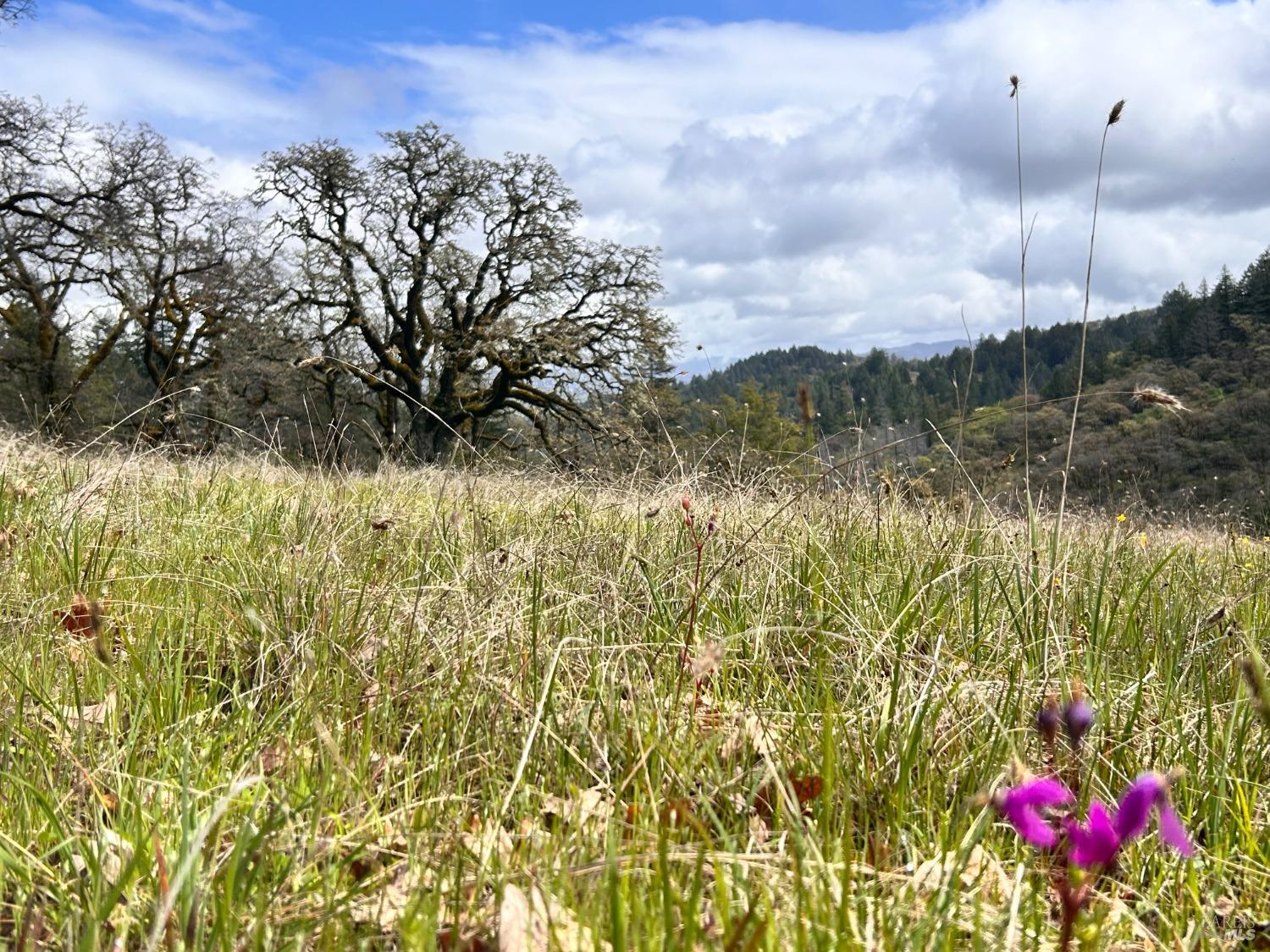 8401 Brandywine Drive Ukiah CA 95482