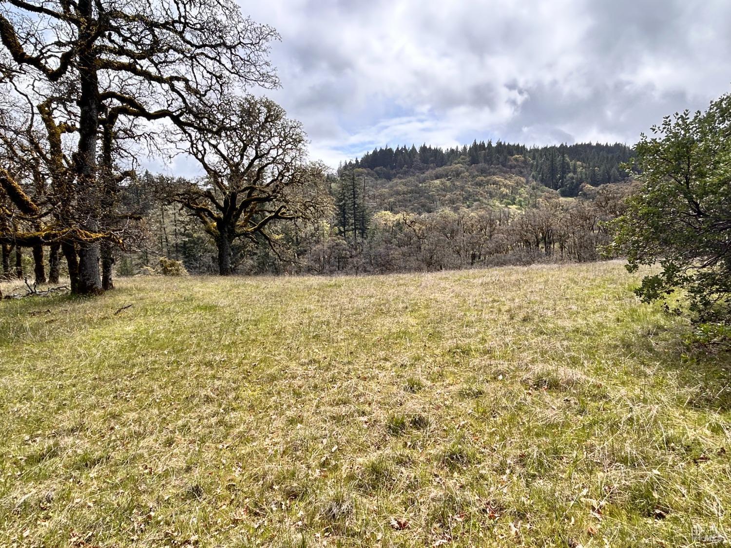 8401 Brandywine Drive Ukiah CA 95482