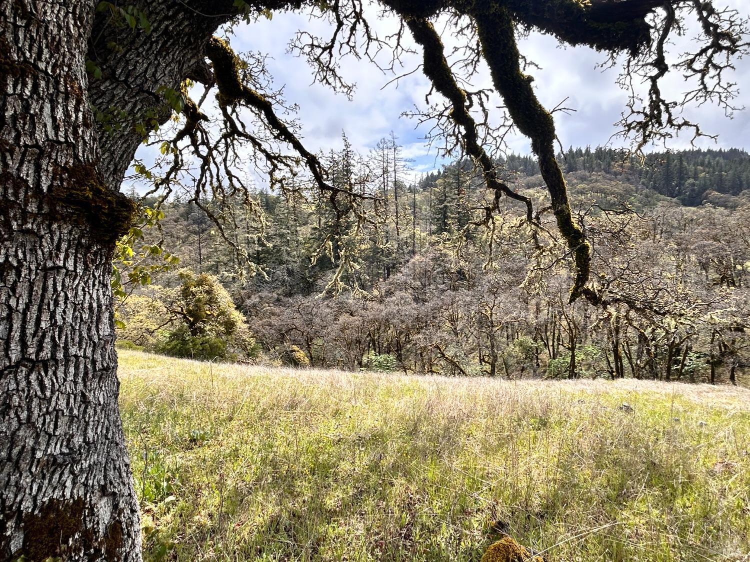 8401 Brandywine Drive Ukiah CA 95482