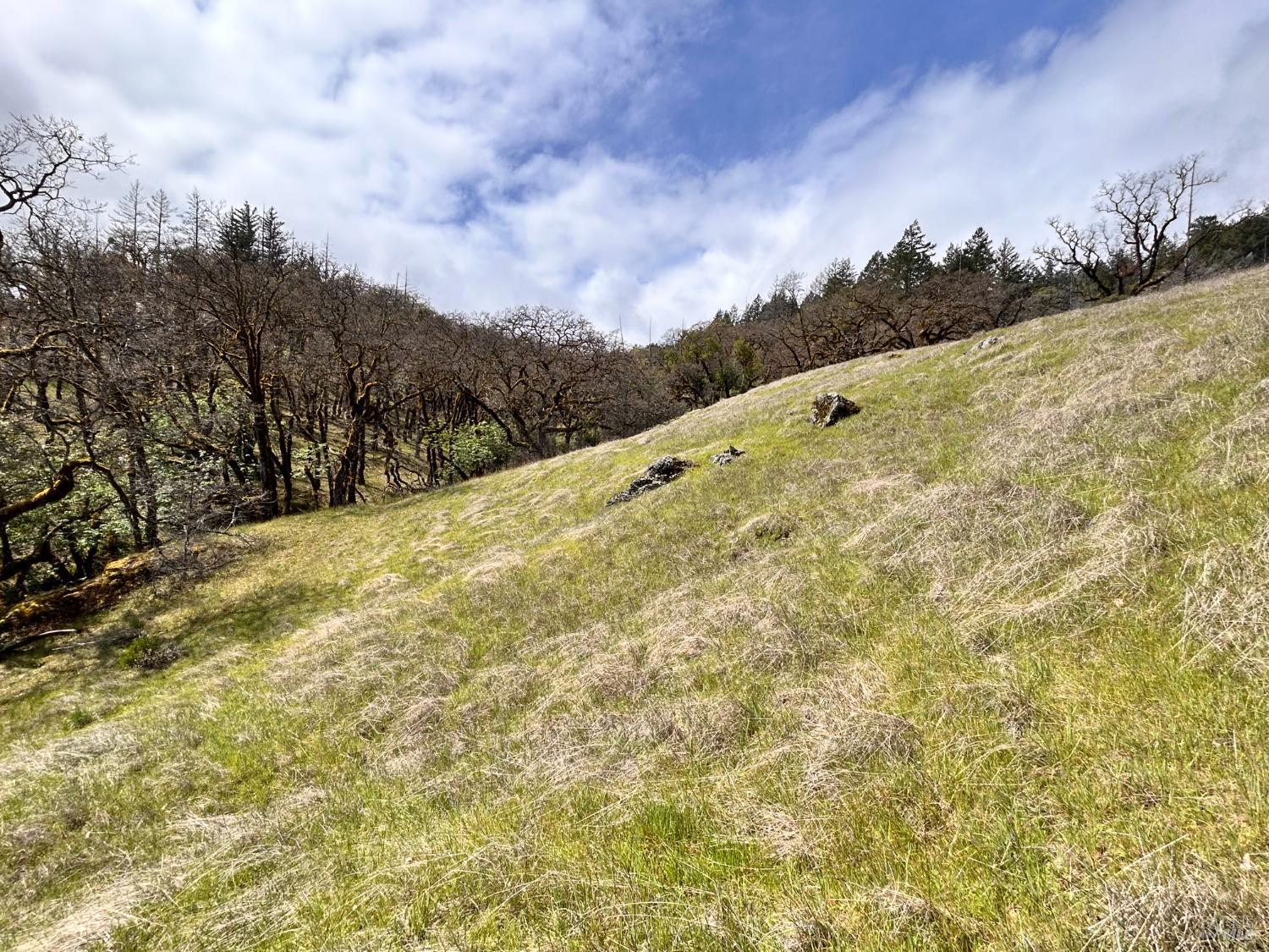 8401 Brandywine Drive Ukiah CA 95482