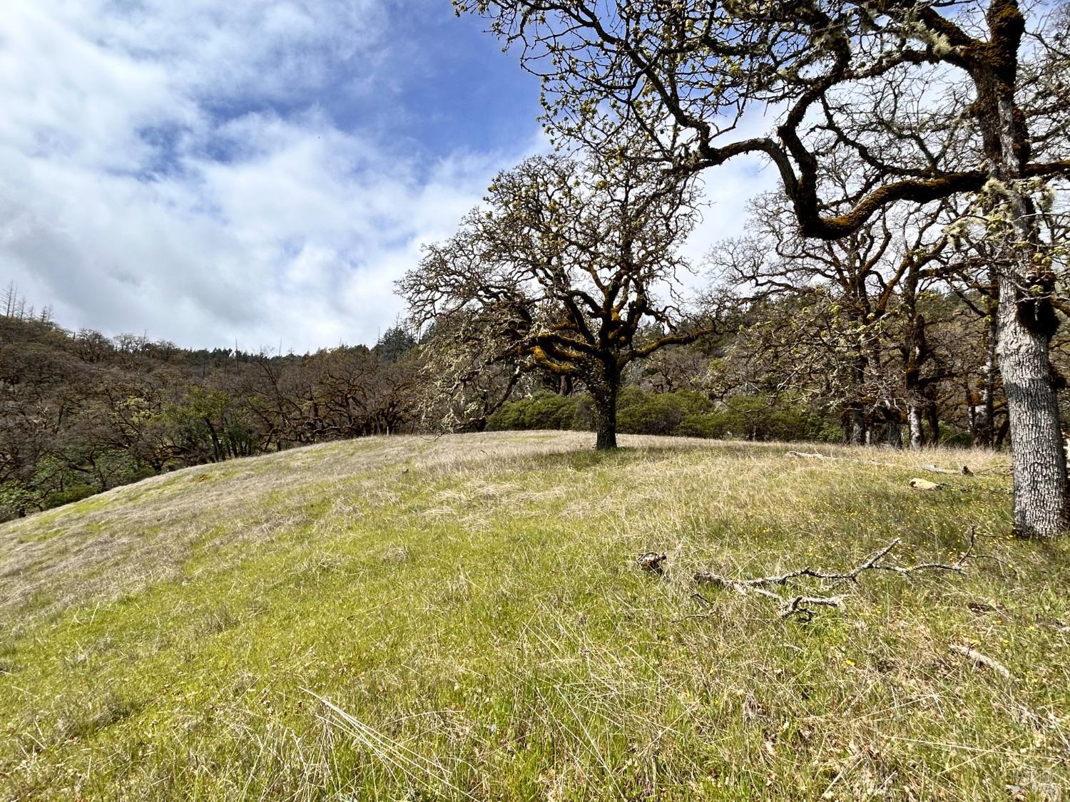 8401 Brandywine Drive Ukiah CA 95482
