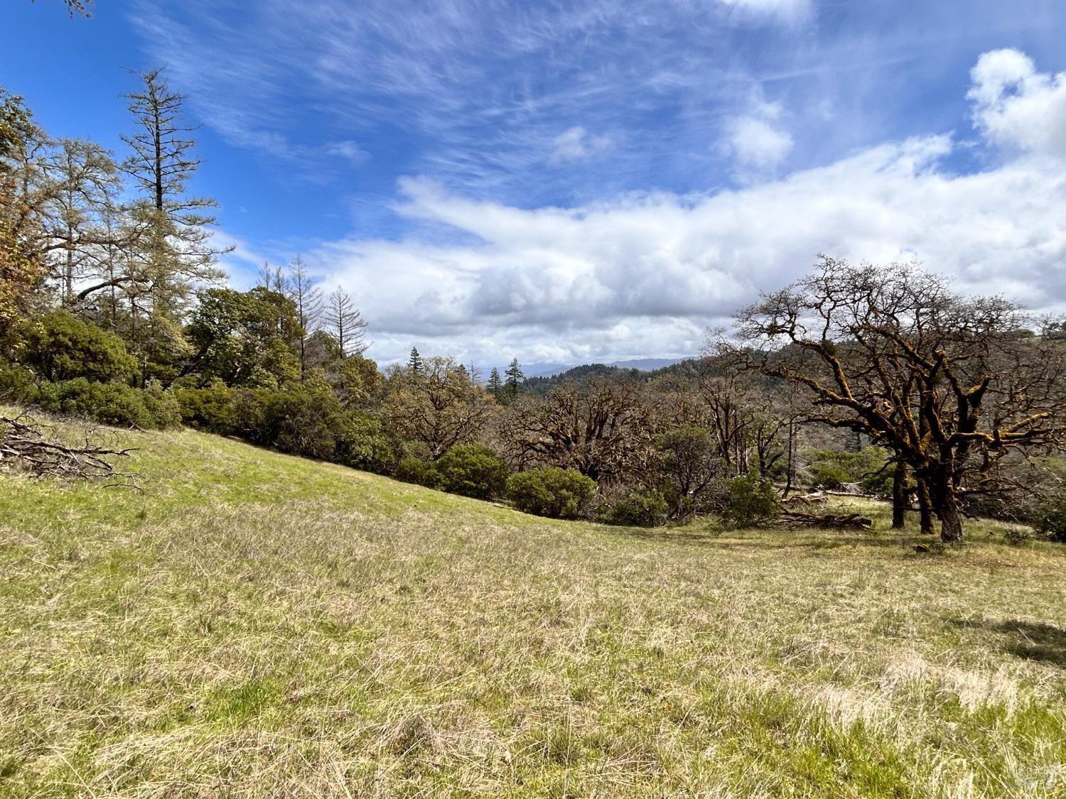 8401 Brandywine Drive Ukiah CA 95482
