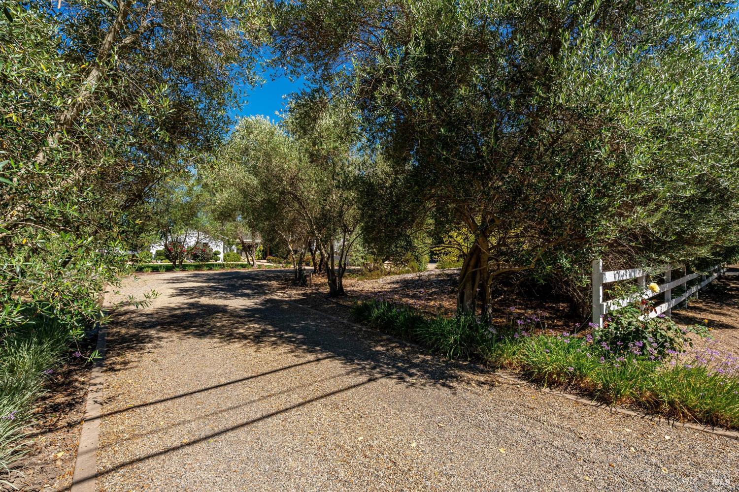 1054 Olive Hill Lane Napa CA 94558