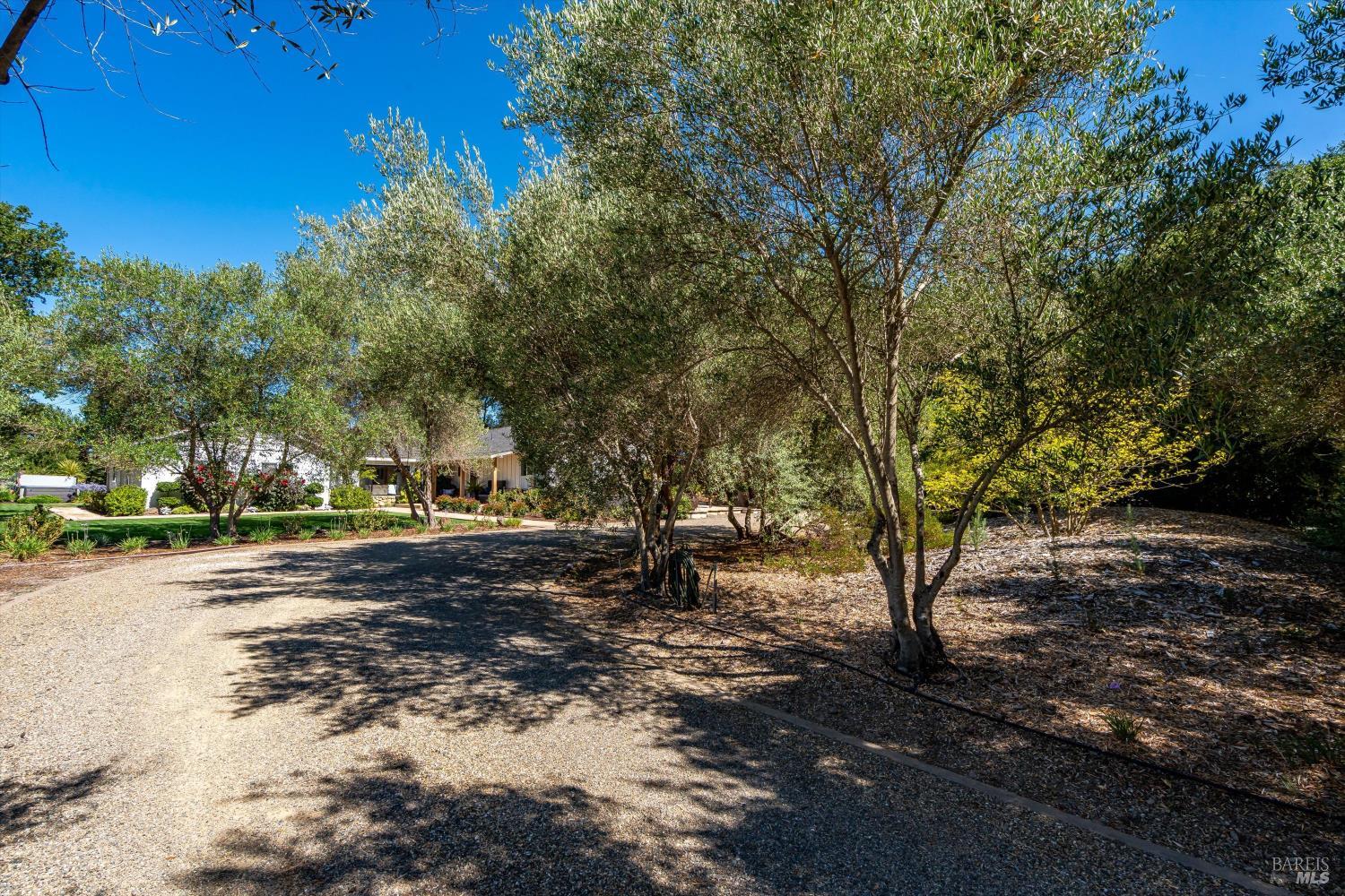 1054 Olive Hill Lane Napa CA 94558