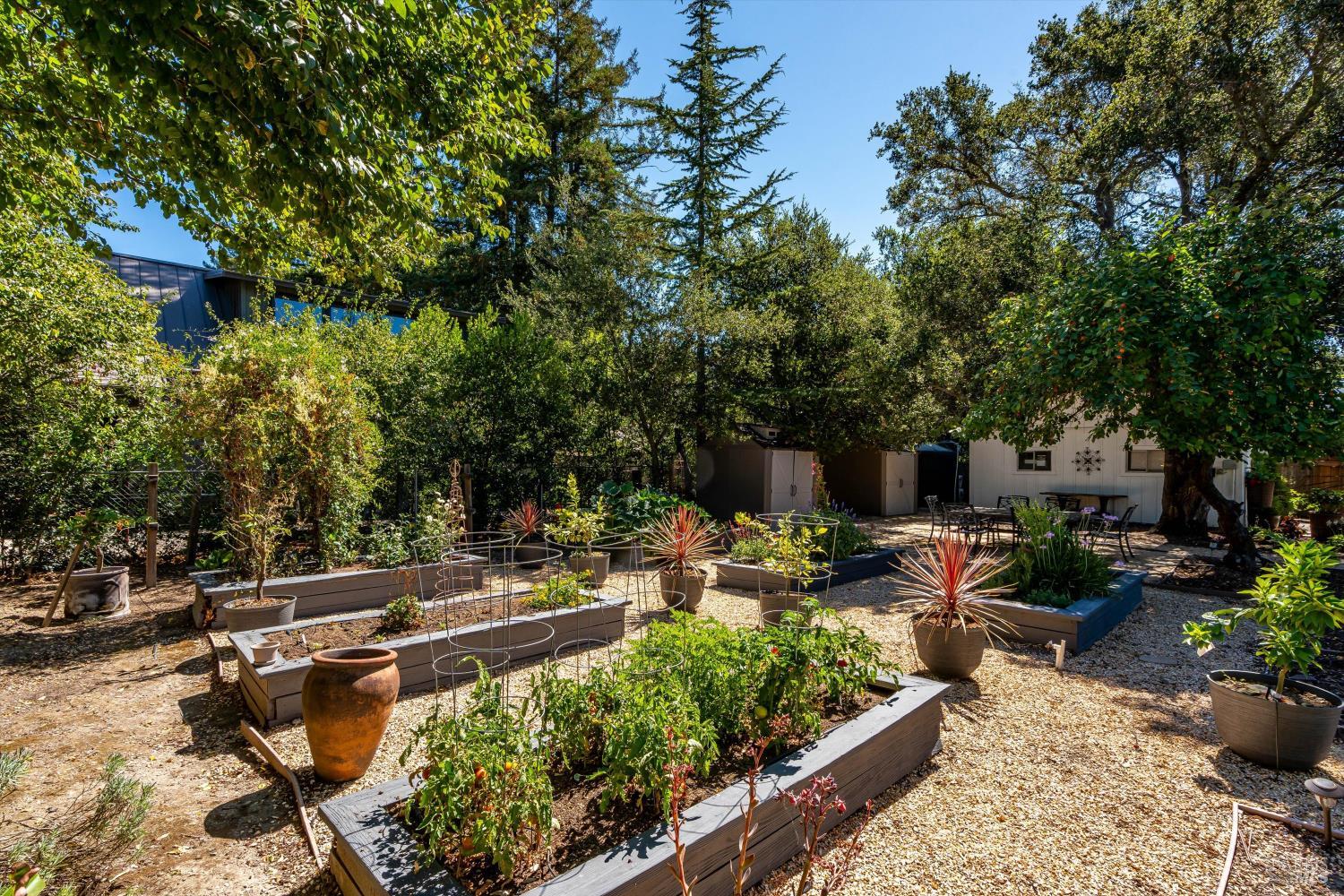 1054 Olive Hill Lane Napa CA 94558